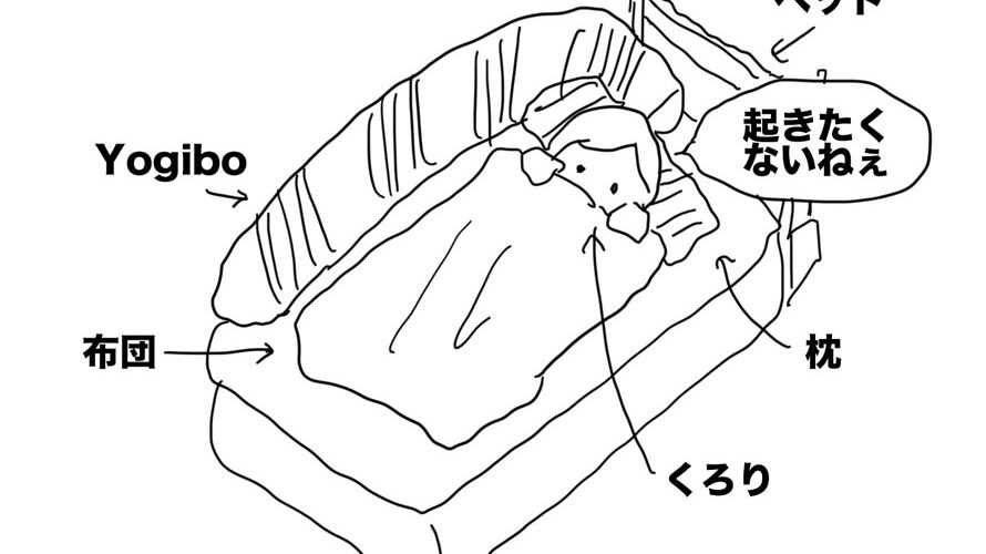 【ゴリラな毎日】せっかくの祝日だけど、外には出れずnosh食うよ【2024年3月20日】